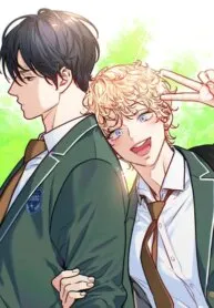 When Stars Fall in Love